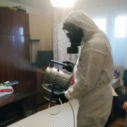 Дезинфекция от клопов в Городовиковске